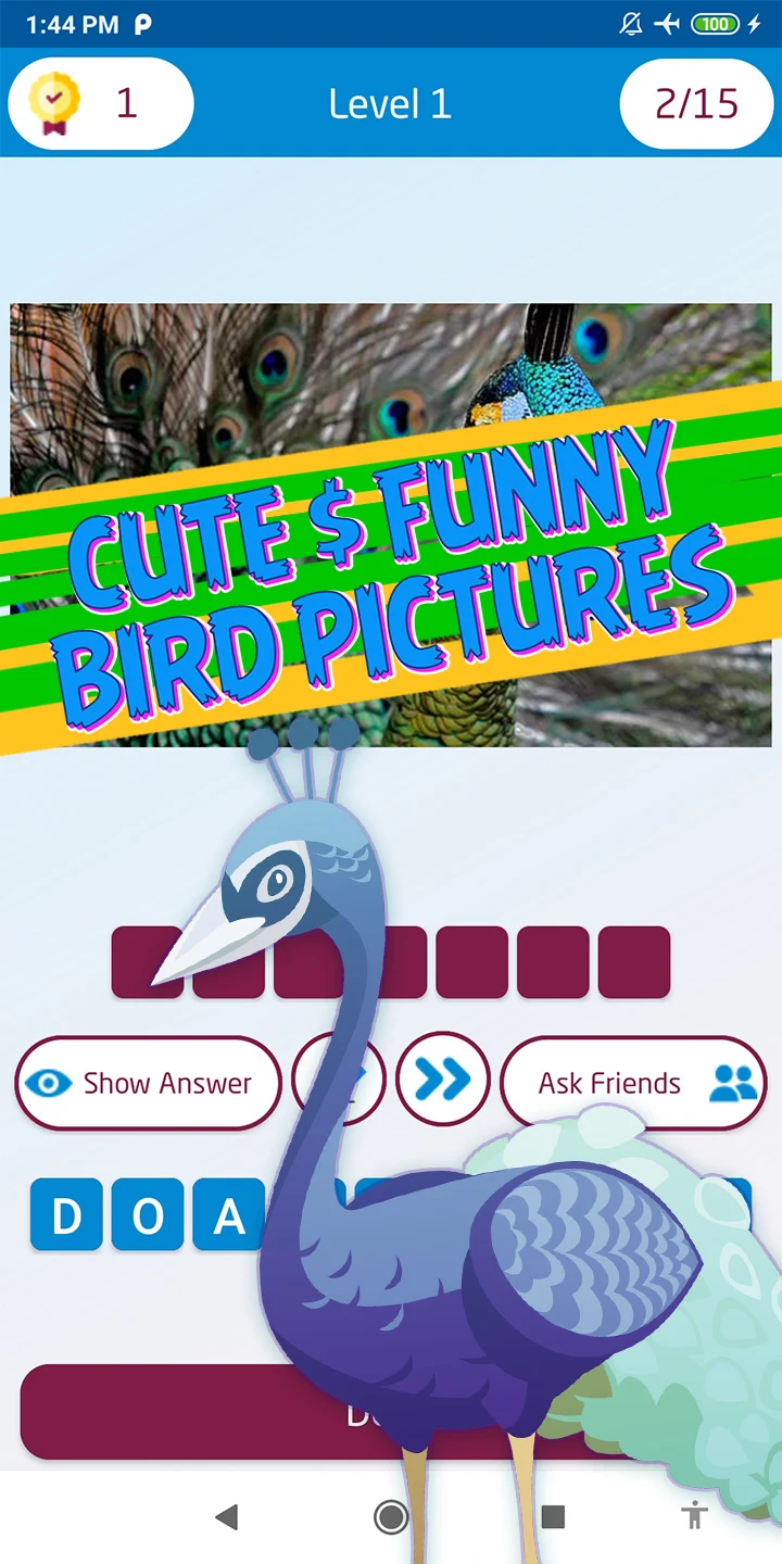 Bird Quiz: Guess the Bird screenshot